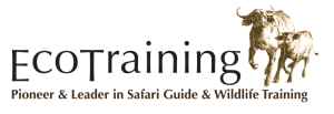 Ecotraining-logo-PNG